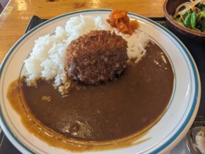 佐賀ライド　ダムの駅富士しゃくなげの里